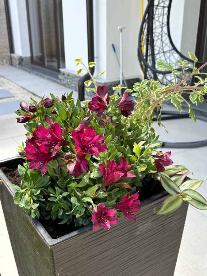 סראייבו Residence 33 מראה חיצוני תמונה
